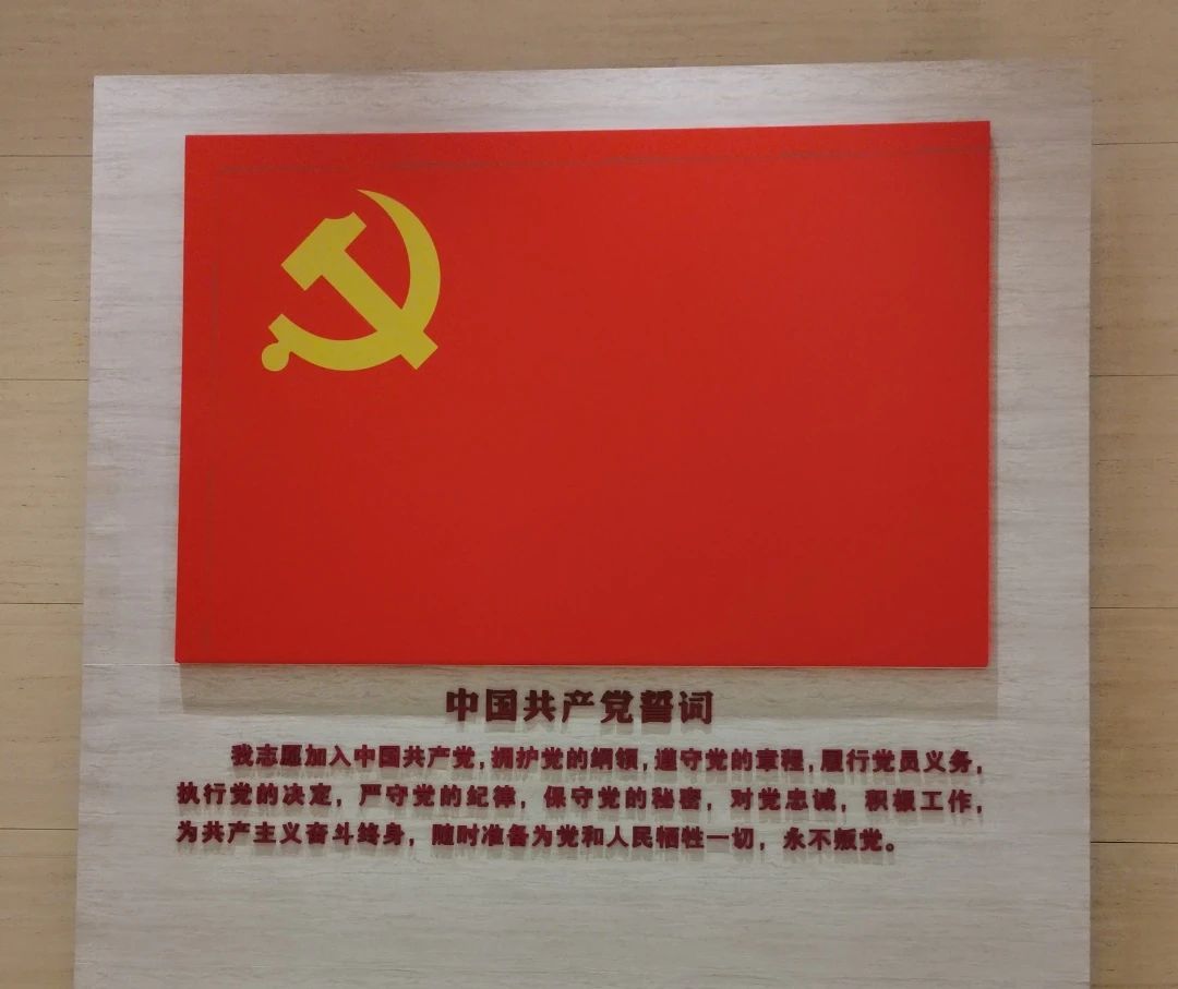 1744793180652976.jpg